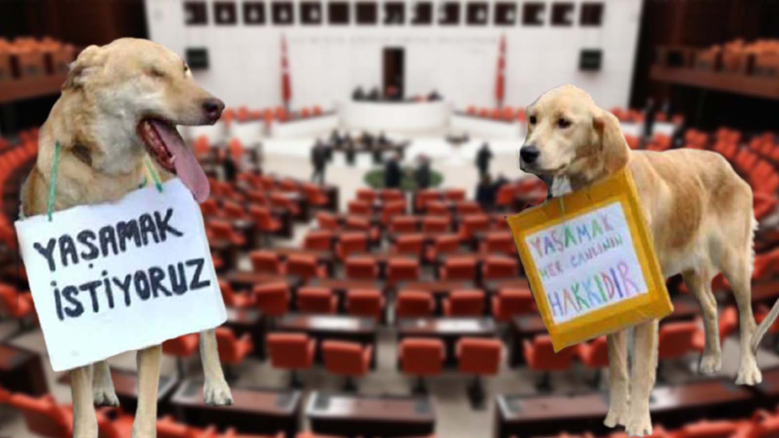 Ziyaretçi yasağı getirilmişti:  “Ötanazi” teklifi Genel Kurul’da bugün görüşülecek