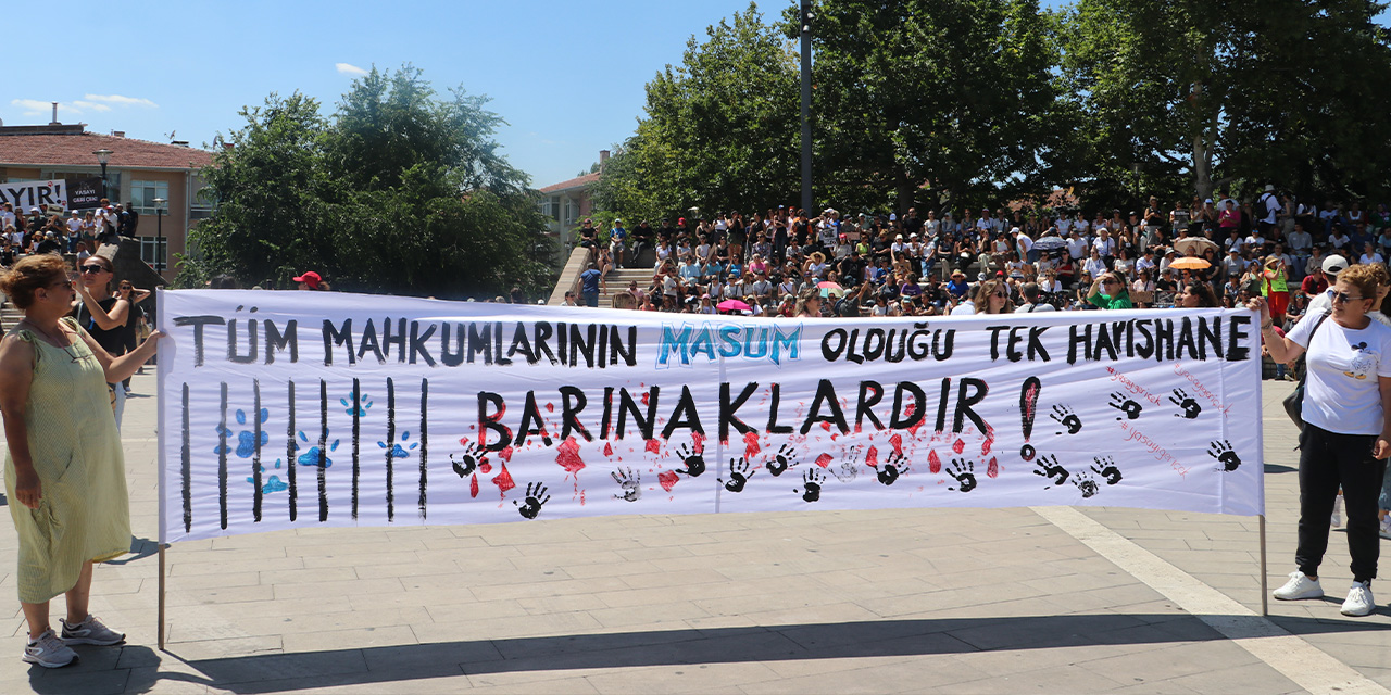 Hayvanseverlerden sahipsiz sokak faaliyetleri düzenlemesine tepki