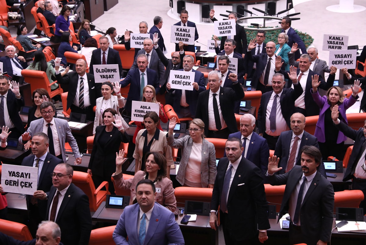 Sokak hayvanları düzenlemesi: Kanlı yasanın ilk 5 maddesi Meclis'te kabul edildi