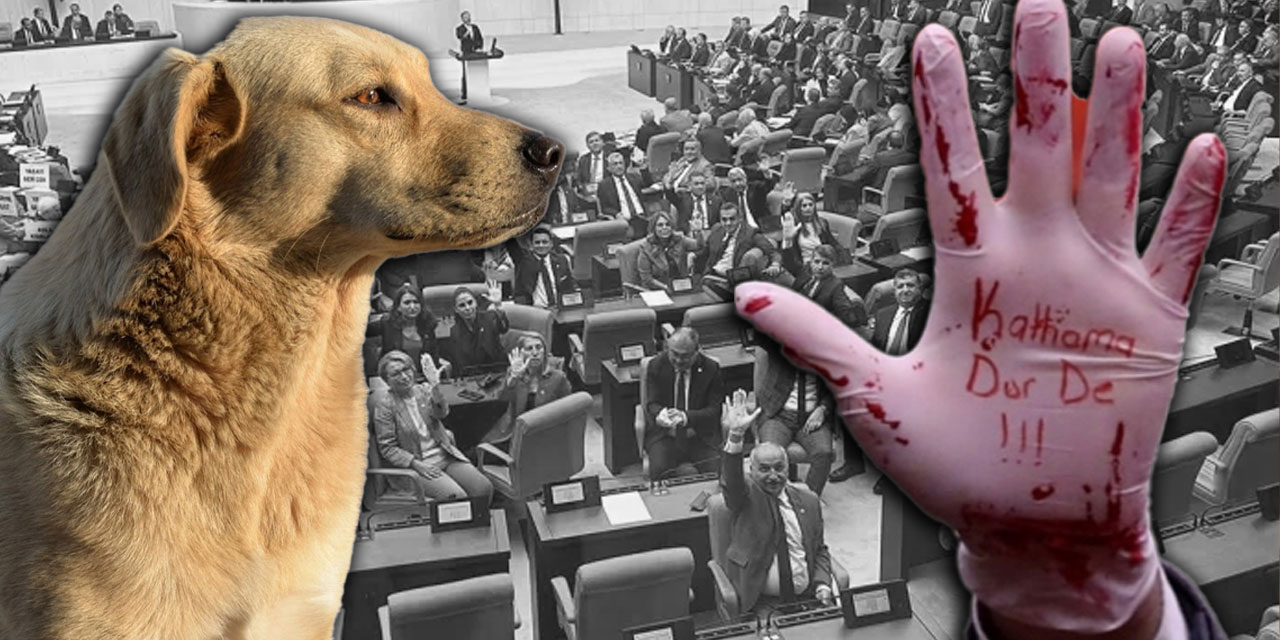 Kanlı yasa AKP-MHP oylarıyla Meclis'ten geçti