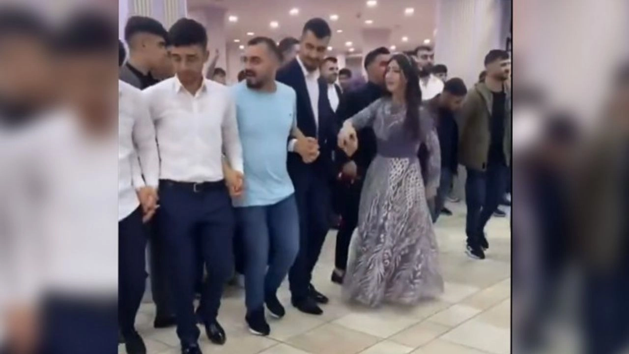 Selvi: Terör örgütü halay üzerinden bir sivil itaatsizlik eylemi planlıyor