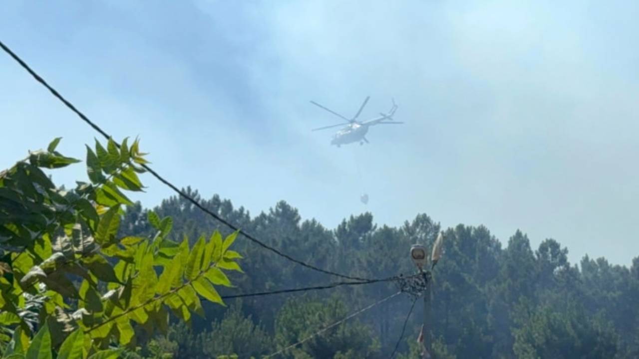 İzmir Urla'da orman yangını!