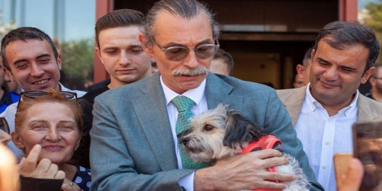 Erdal Beşikçioğlu'ndan katliam yasasına karşı çözüm: Köpekler eğitimden sonra belediyede görevli olacak