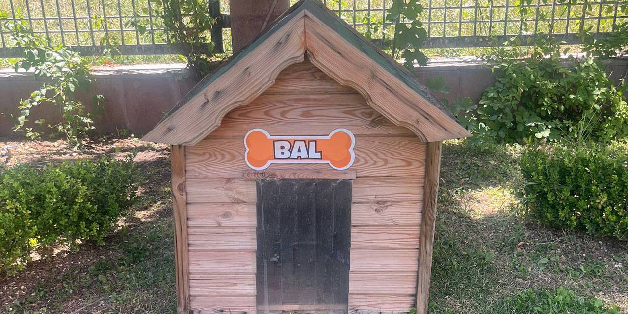 CHP'nin yeni üyesi: "Bal"