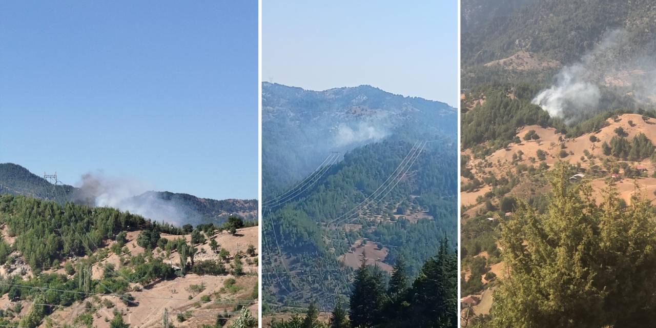 Adana'da yangına müdahale için barajdan su alan helikopter düştü