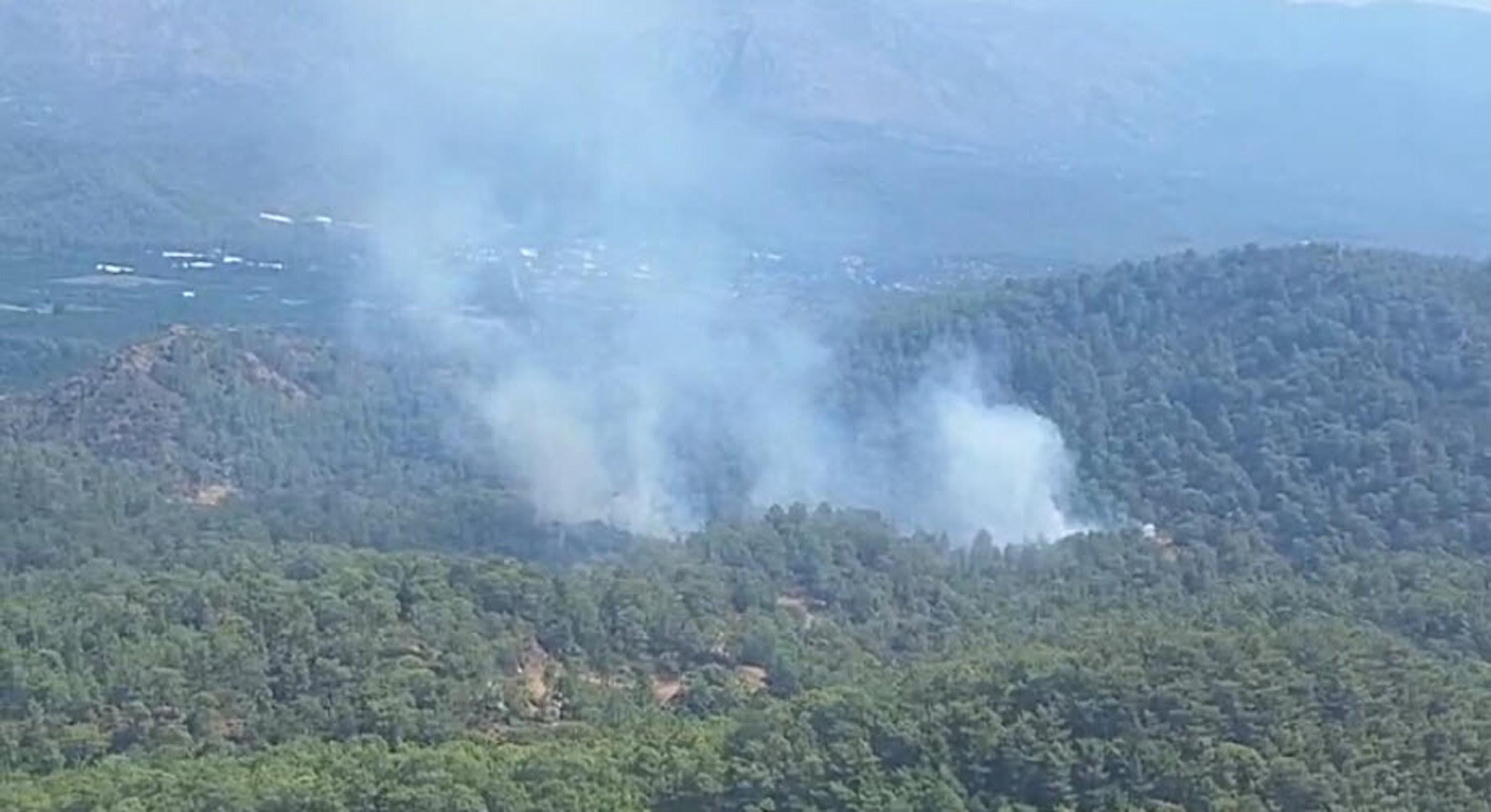 Muğla'da orman yangını