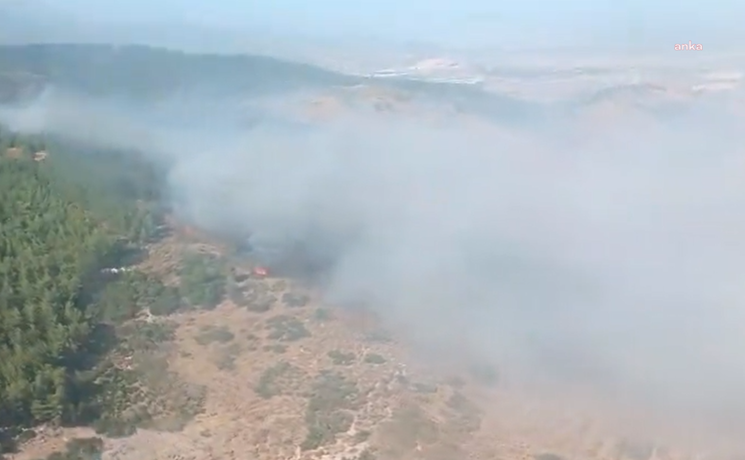 Hatay Antakya'da orman yangını
