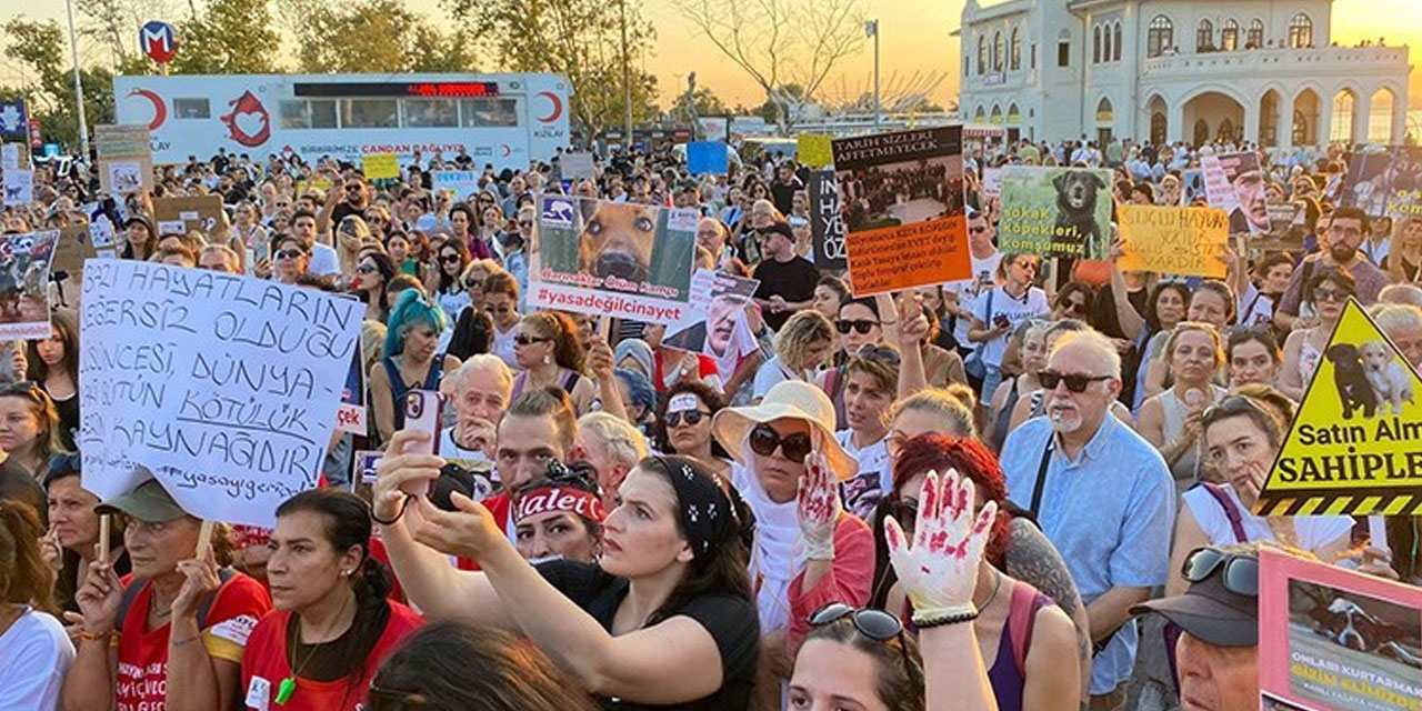 Kadıköy’de 'katliam yasası' eylemi: CHP'ye sokak hayvanlarının toplatılmaması çağrısı yapıldı