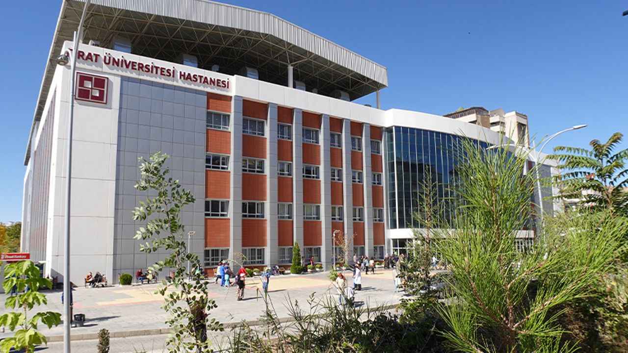 Fırat Üniversitesi Hastanesi'nde çalışan sendika üyelerine verilen "görev yeri değişikliği” cezasını mahkeme iptal etti