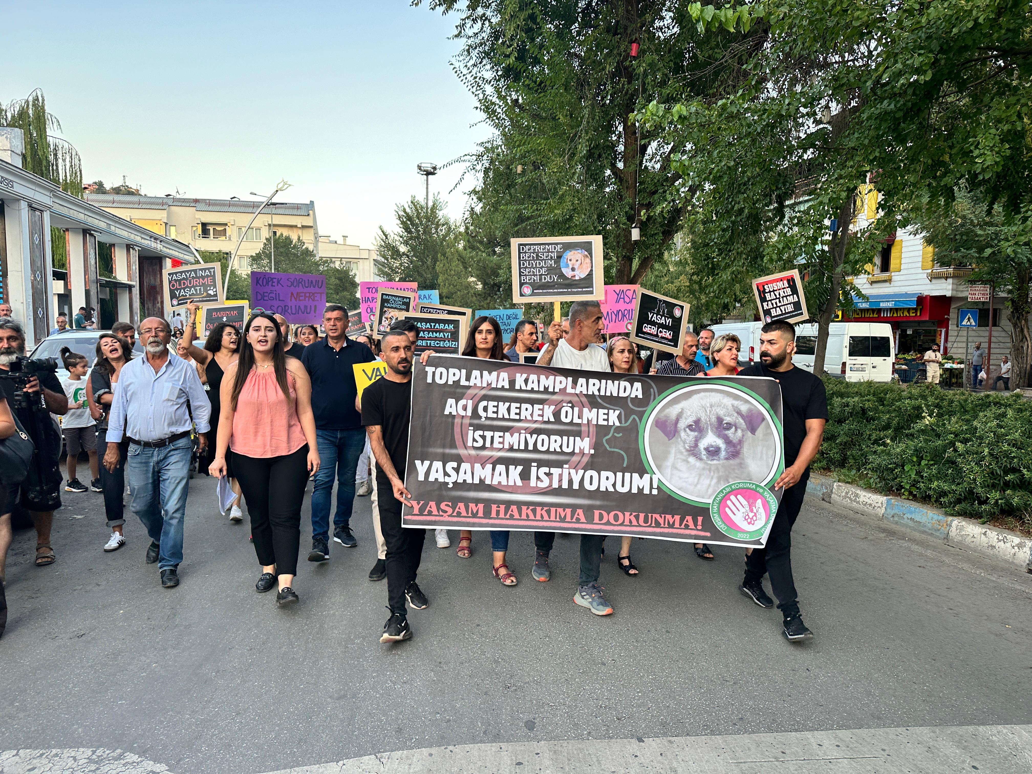 12 yıldır sokak hayvanlarına şiddet olmayan Tunceli'de, belediyelerden 'ötanazi yapmama' açıklaması