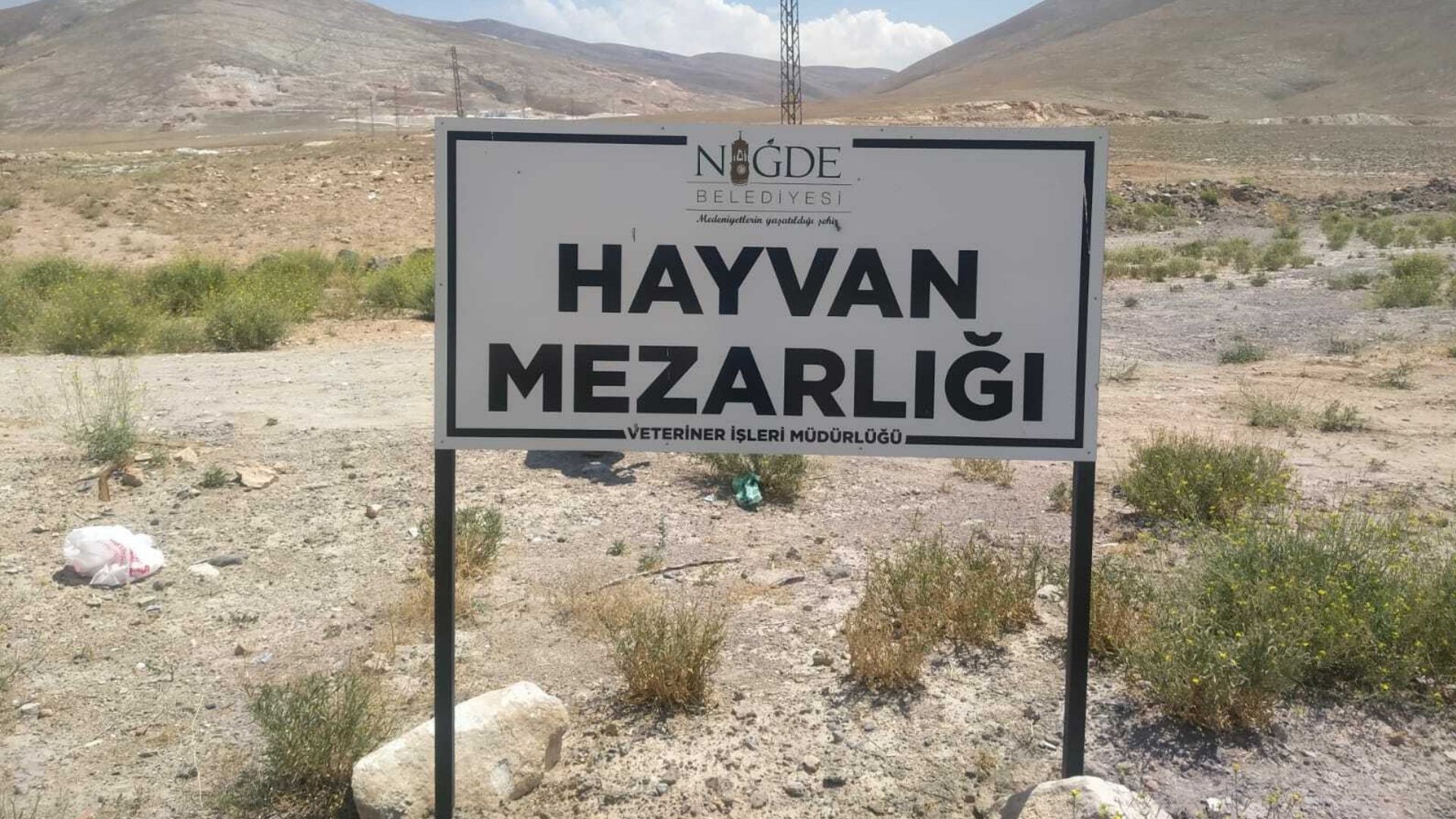 Niğde Hayvan Mezarlığı’nda dehşet veren görüntüler: Hayvanlar çıplak gözle görülebiliyor