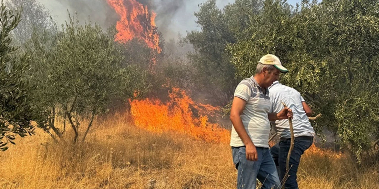Aydın'daki orman yangını büyüdü: Alevler yerleşim yerlerine sıçradı