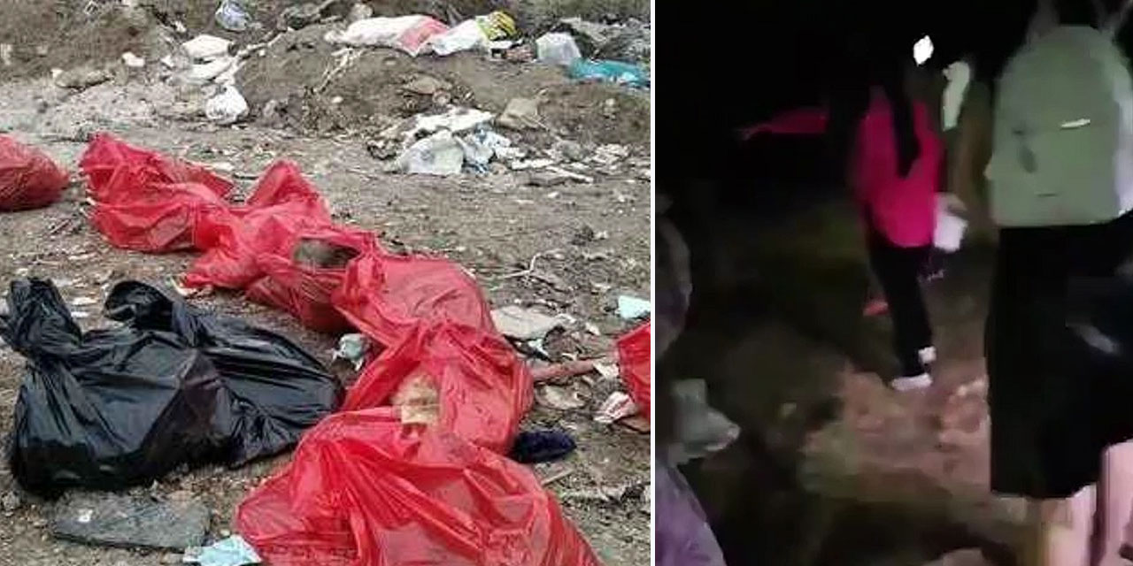 Altındağ’daki katliam görüntülerine belediyeden açıklama geldi: Haberler asılsızdır, kurban atıkları da var