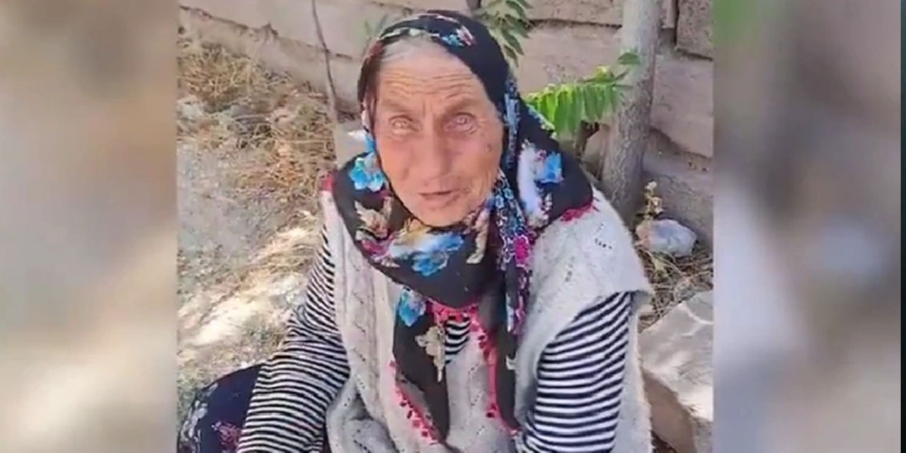 Altındağ'da köpekleri toplanan yaşlı kadının feryadı: 'Yemin ederim çok direndim...'