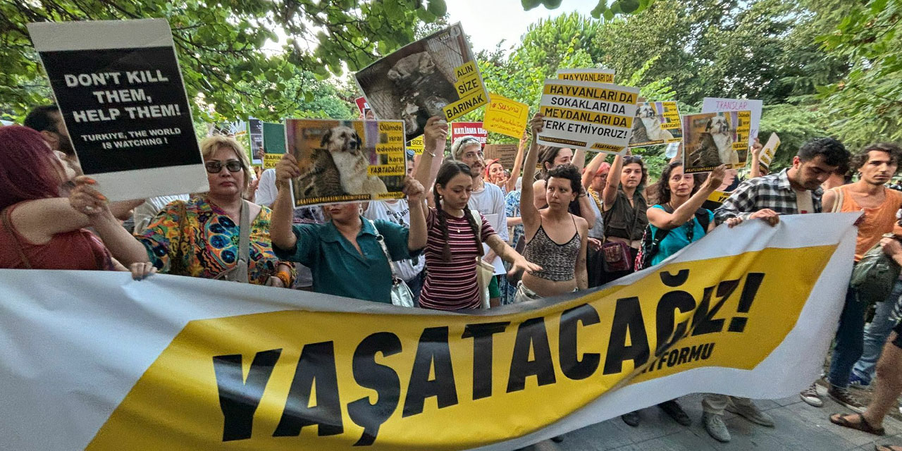 AKP il binası önünde 'katliam' protestosu: Hayvanseverler ile Suriyeli aile arasında arbede