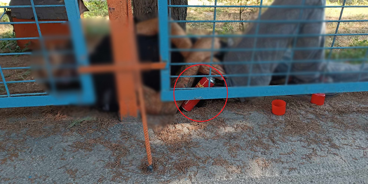 Elinde çakmak gazıyla bahçe duvarı üstünde ölü bulundu