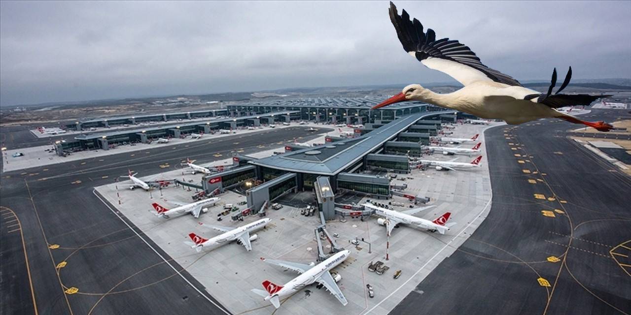 İstanbul hava sahasında leylek alarmı