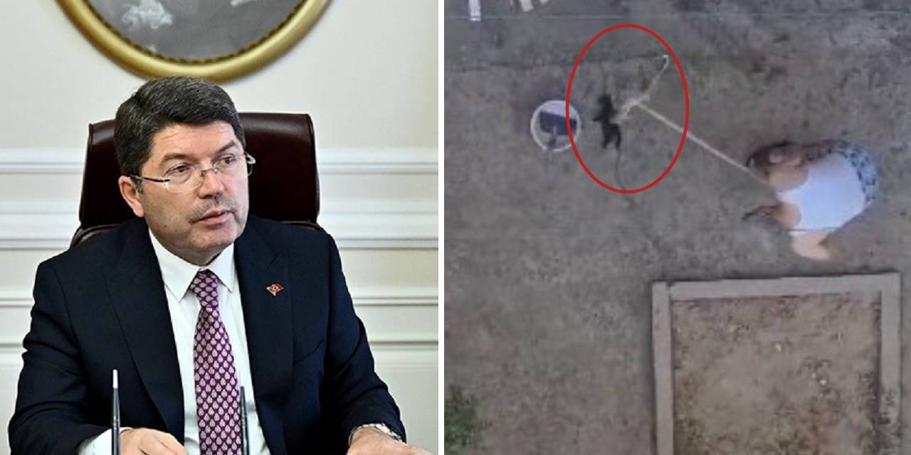 Manisa'da yavru kedileri öldüren şahıs tutuklandı: Bakan Tunç'tan açıklama