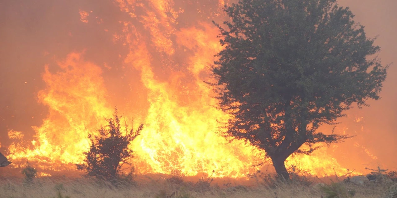Balıkesir ve Manisa'da alevlerle mücadele! Ekipler teyakkuz halinde