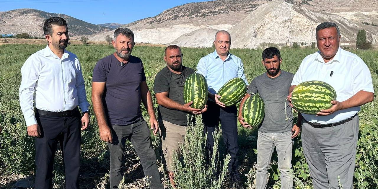 Üreticiler isyan etti! Karpuz tarlada kaldı: Tarlada kilosu 1 lira, markette 10 lira