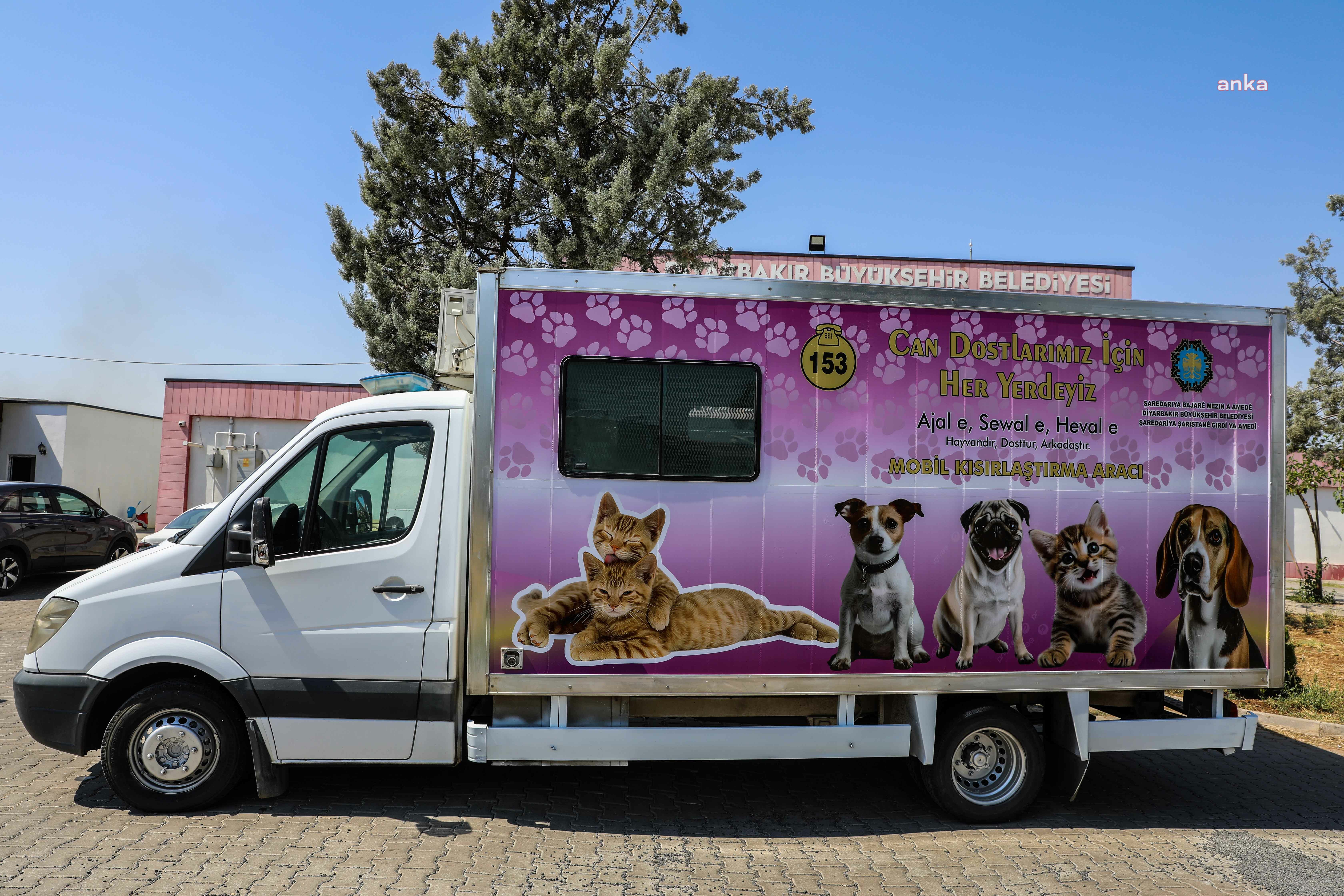 Diyarbakır'da sokak hayvanları için mobil kısırlaştırma aracı hizmete alındı