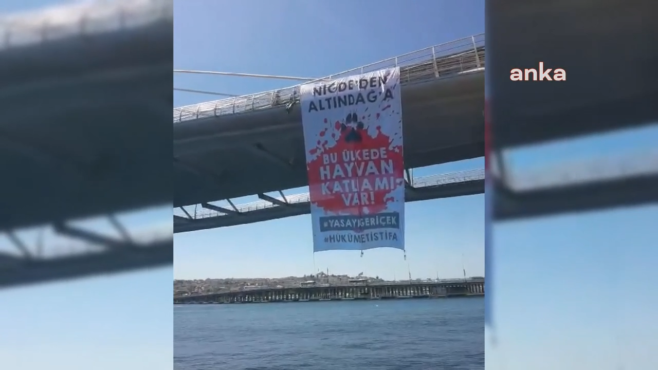 Sokak hayvanları yasasına karşı Haliç’te pankartlı protesto