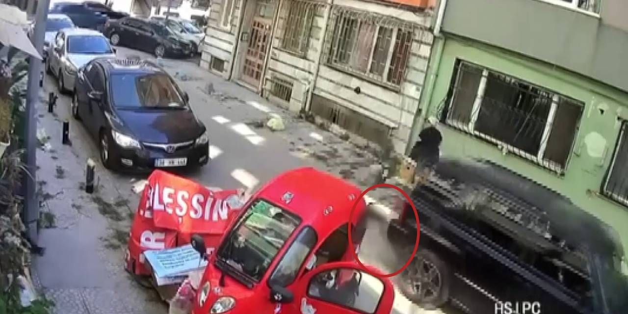 Bakırköy’de otomobille kediyi ezdi; umursamadan evine gitti