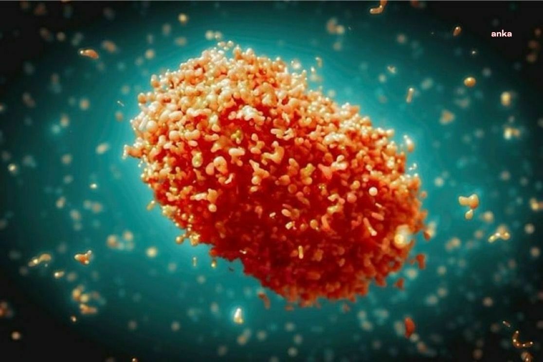 AB sağlık ajansı, daha fazla maymun çiçeği vakasına karşı uyardı