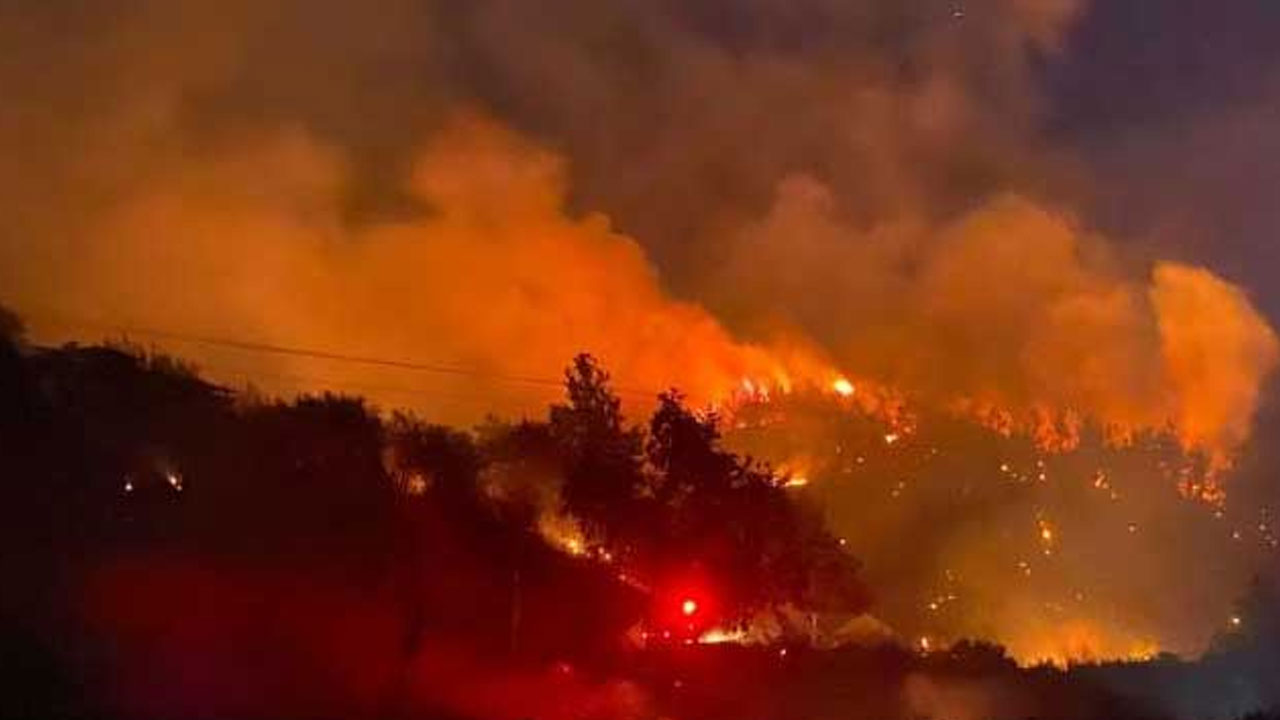 Türkiye alev alev! Antalya'da da ormanlık alanda yangın çıktı