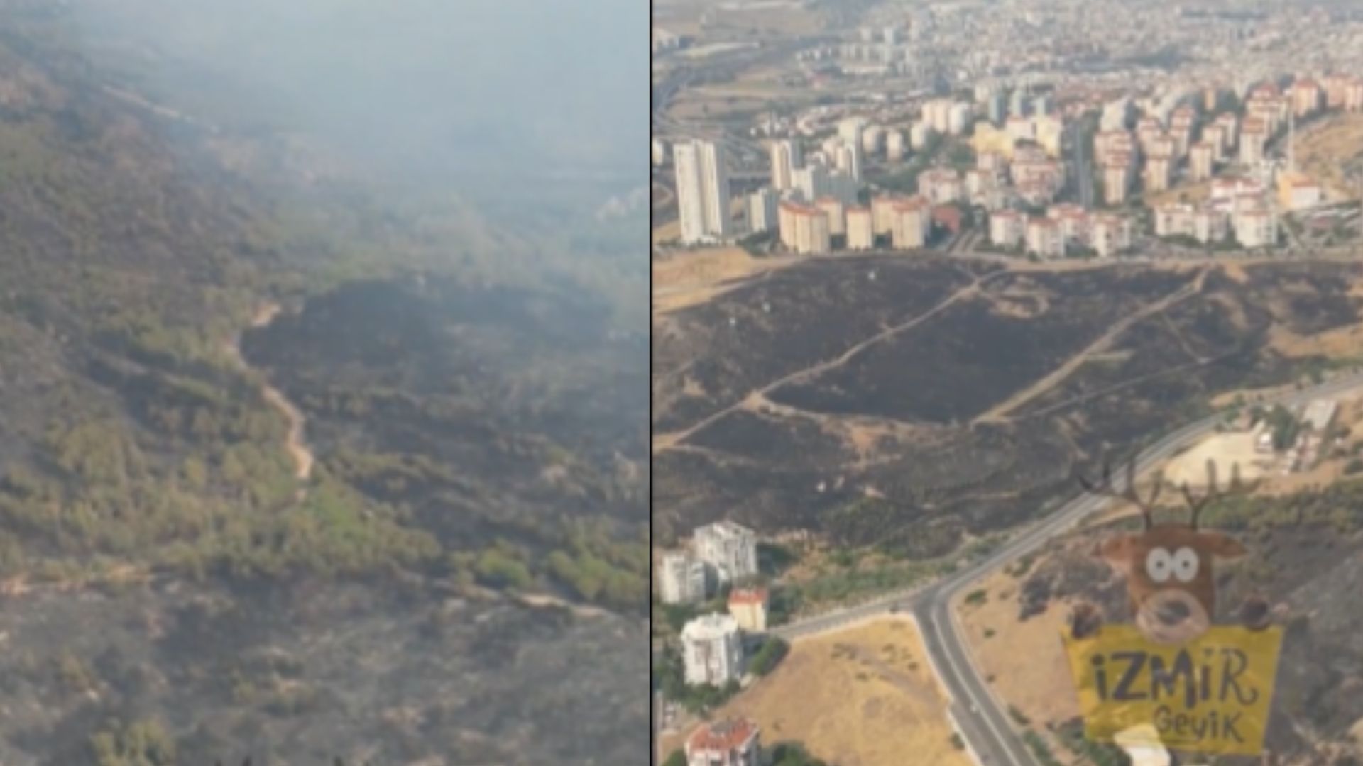 İzmir’deki yangının boyutu havadan görüntülendi