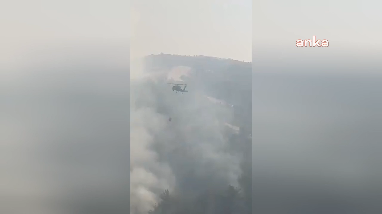 Didim ve Beydağ'daki yangınlar kontrol altına alındı