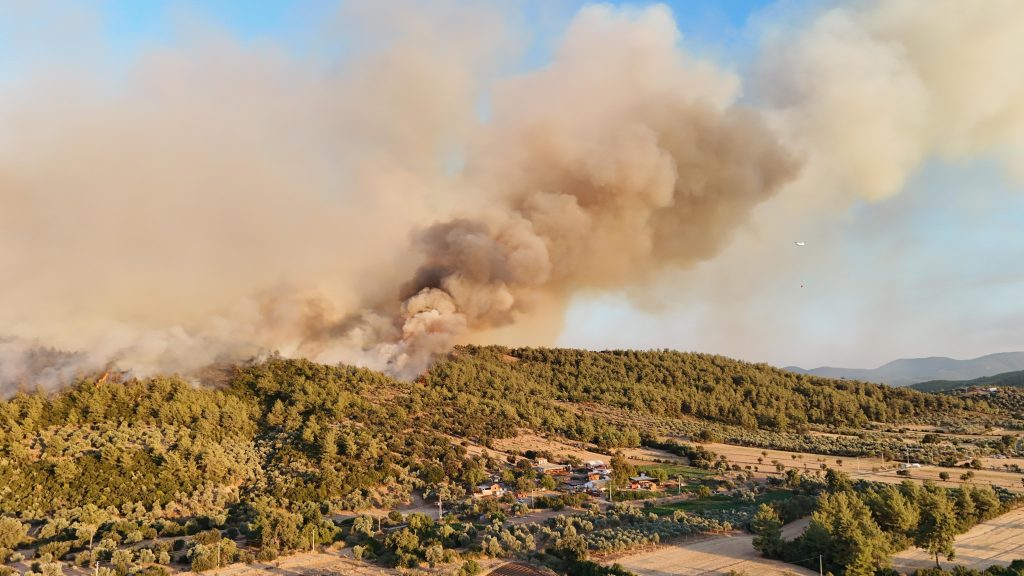 Muğla'daki orman yangınında 200 hektar alan zarar gördü