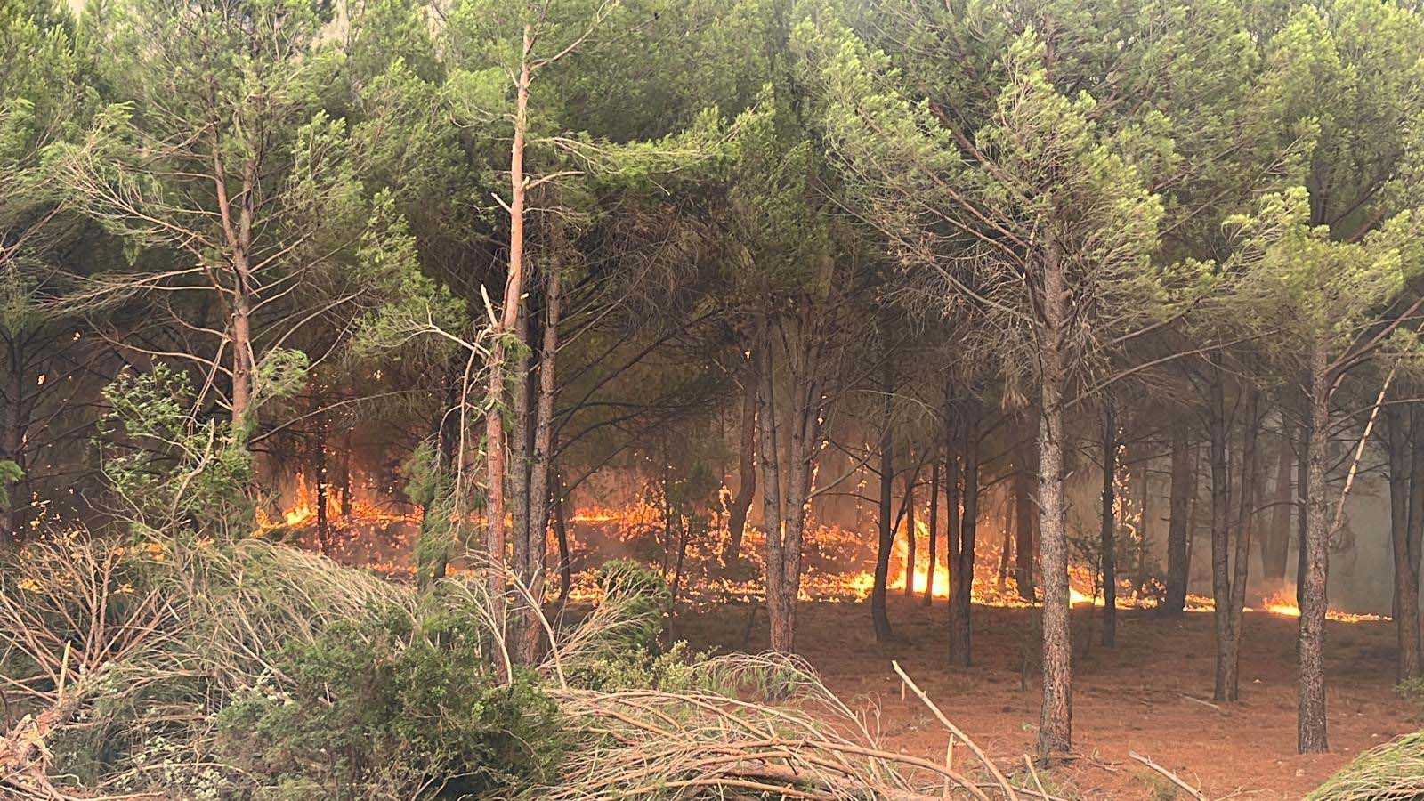 Uzmanı anlattı:  Verilere göre her 21 dakikada bir yangın çıkıyor