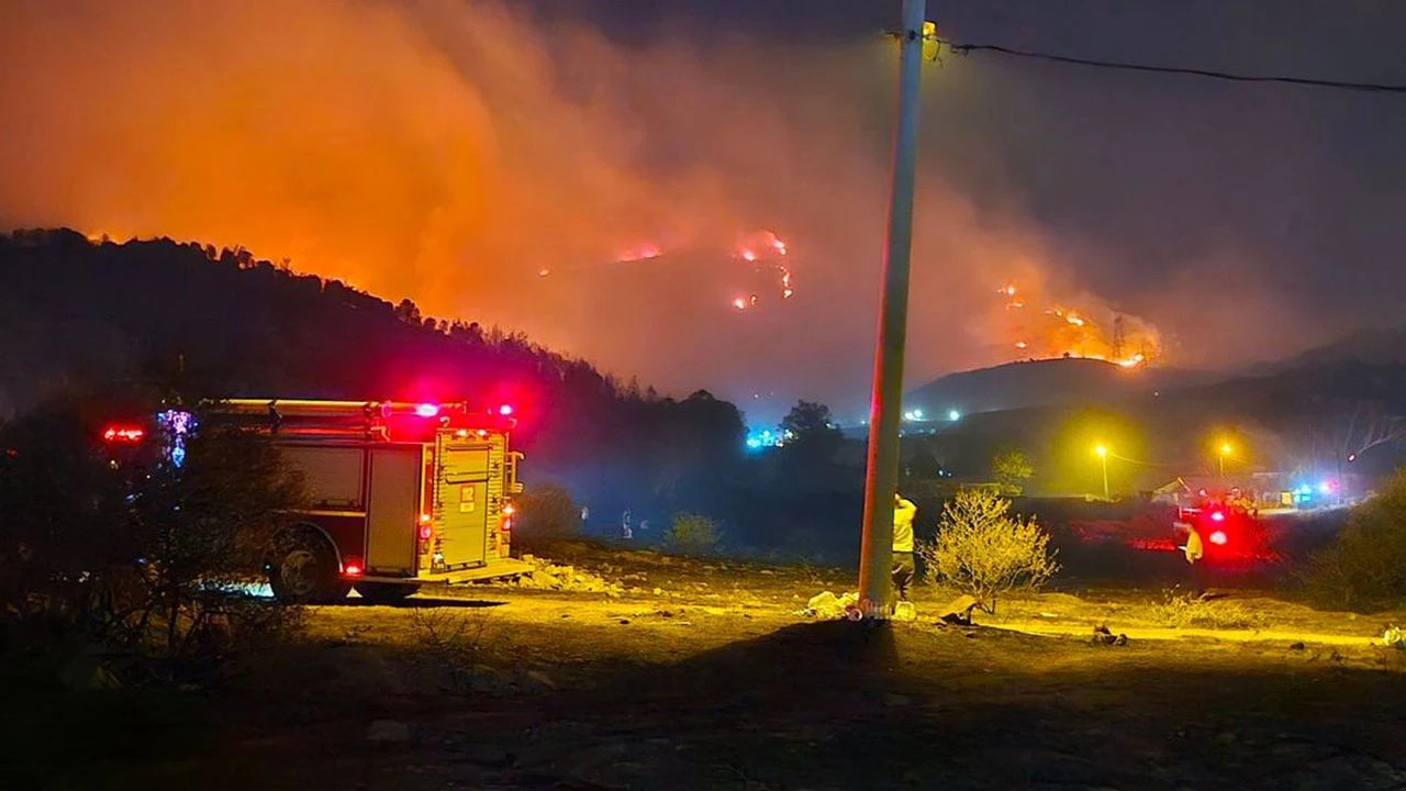 Bakan Yerlikaya'dan 'orman yangınları' açıklaması: 7 gözaltı, 2 tutuklama