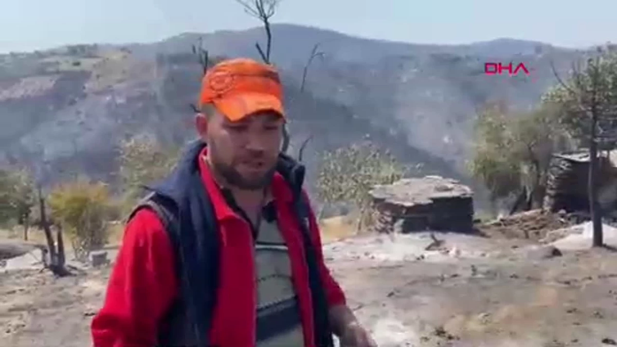 Orman yangınında evi yandı; ikram edilen simidi köpeği Yufka'ya verdi