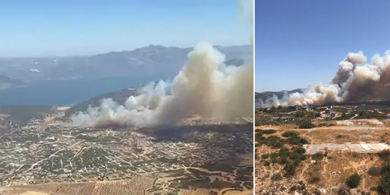 Aydın'daki maki yangınını çıkaran 3 şüpheli tutuklandı