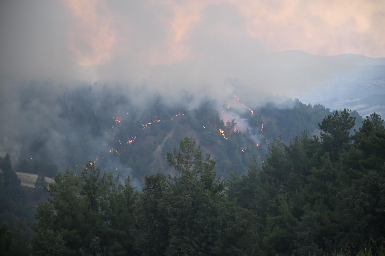 Uşak'ta orman yangını 2'nci gününde