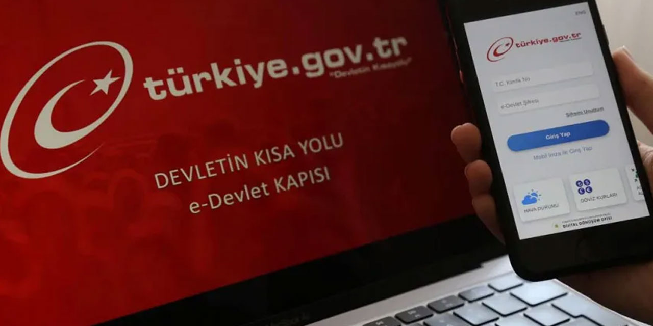 GİB'den açıklama: E-devlet'ten vergi levhası sorgulaması ücretli mi olacak?