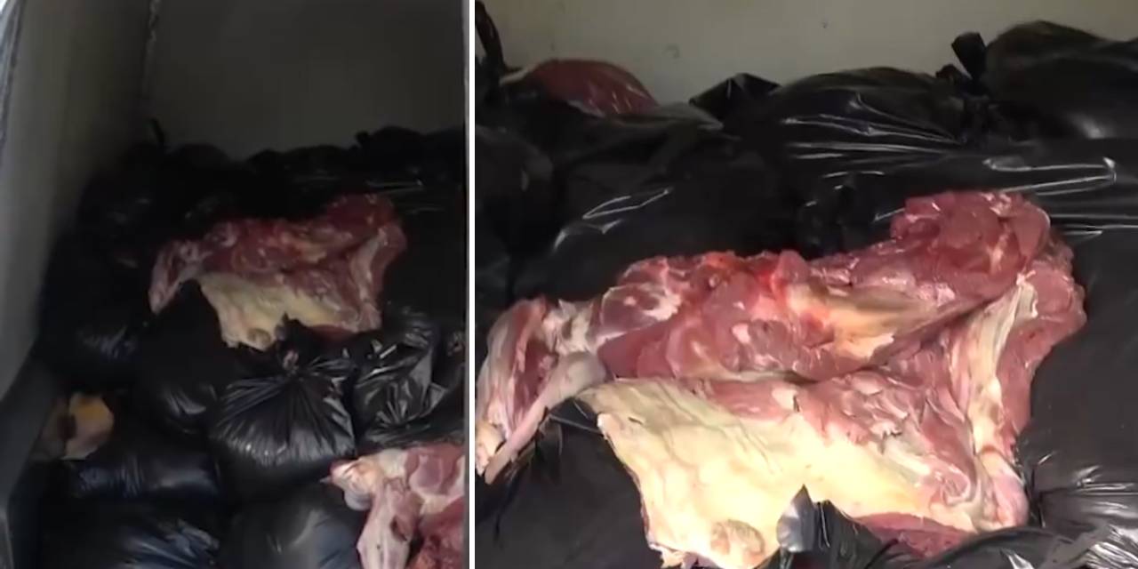 1.5 ton at ve eşek etiyle yakalanan kasap: Akrabalarıma dağıtacaktım