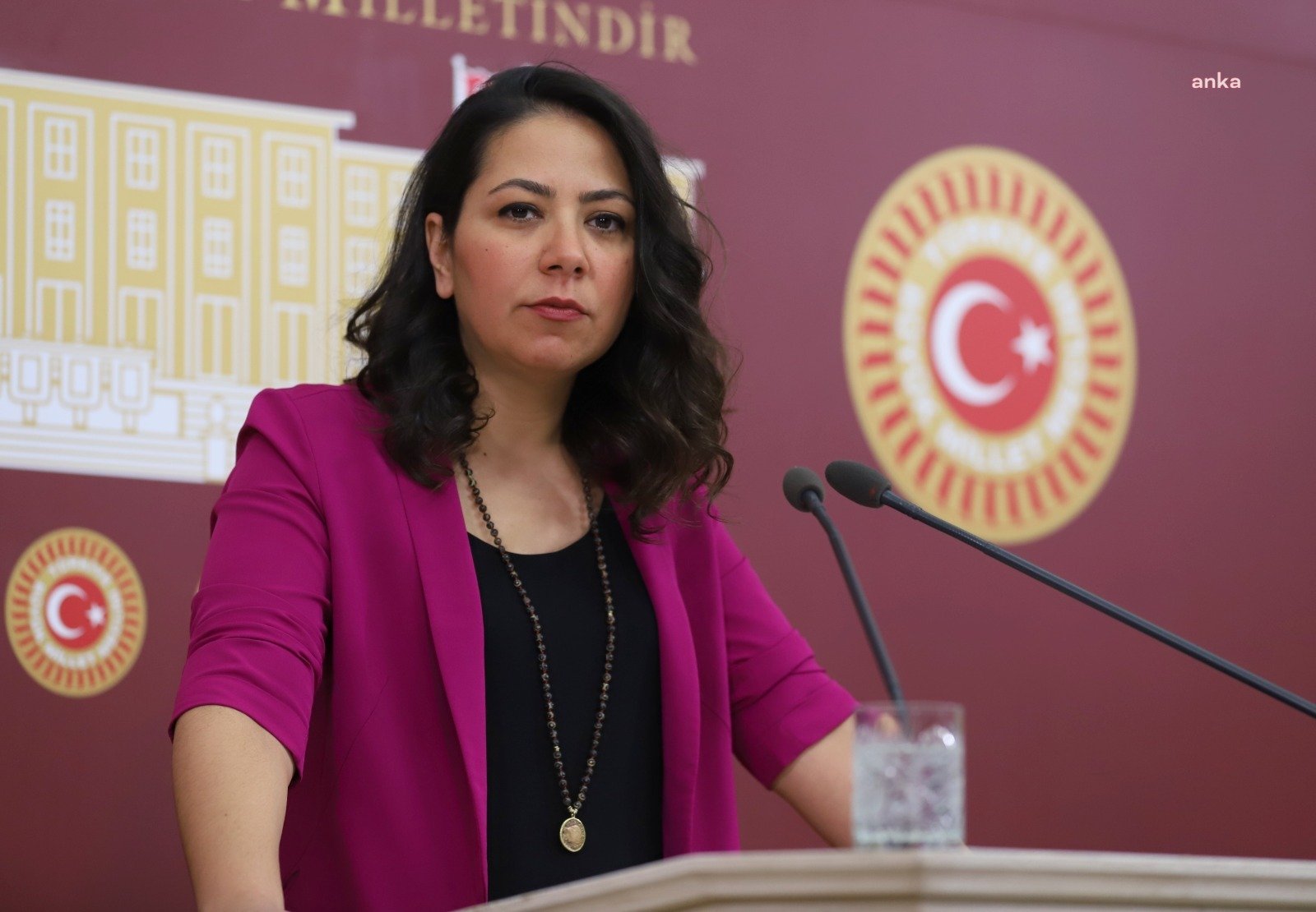 AKP ile TİP arasında 'Faşist' gerilimi: Dünyadaki faşistler bizim düşmanımızken sizin çırağınız