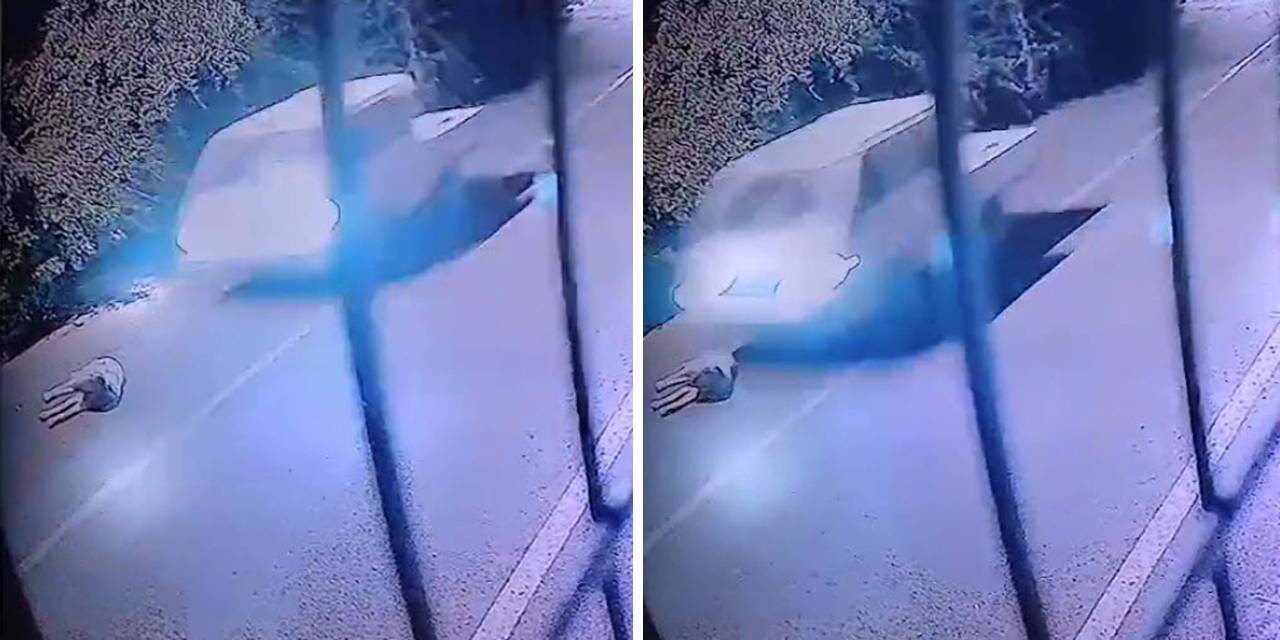 Bodrum’da kamyonetin ezdiği köpek öldü, o anlar kamerada