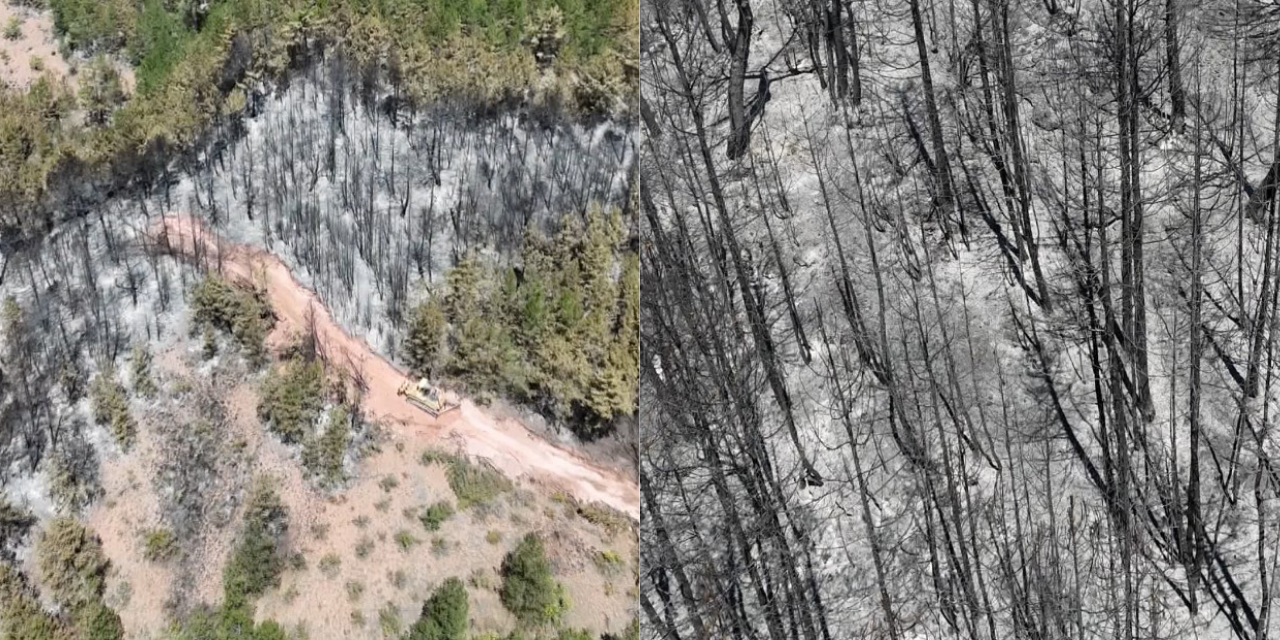 Karabük'te orman yangının tahribatı havadan görüntülendi