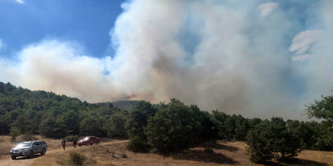 Afyonkarahisar'da orman yangını