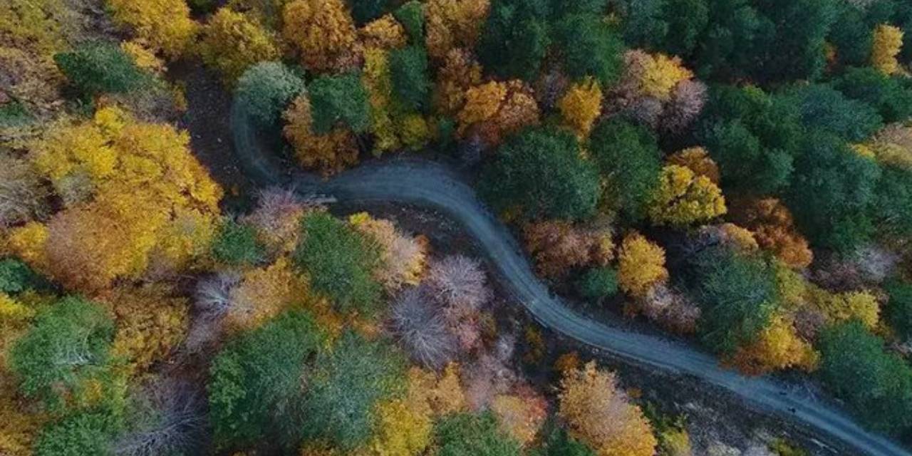 Kazdağları’na girişler geçici olarak yasaklandı