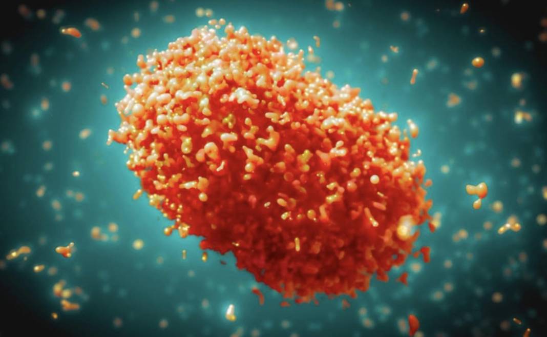 Türkiye'de ilk maymun çiçeği karantinası iddiası