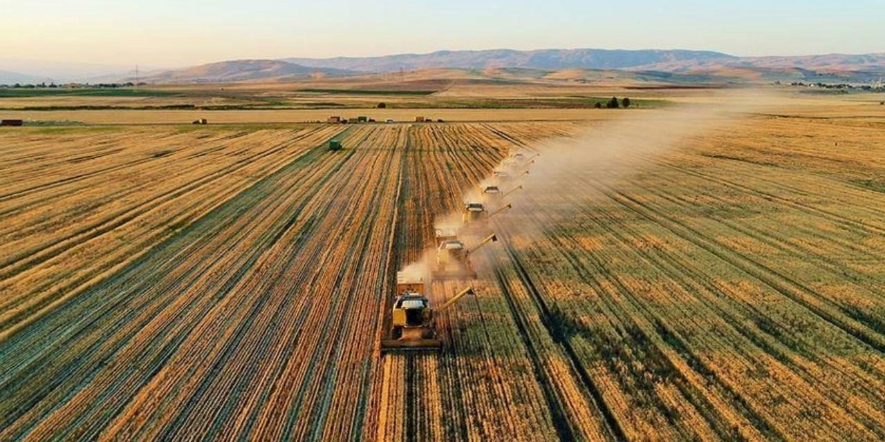 İşlenmeyen tarım arazilerini Bakanlık kiraya verecek: 44 yılda 5 milyon hektarlık tarım arazisi yok oldu