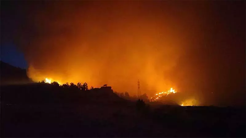 Ankara’da başlayan yangın Bolu’ya sıçramıştı: 1 kişi tutuklandı