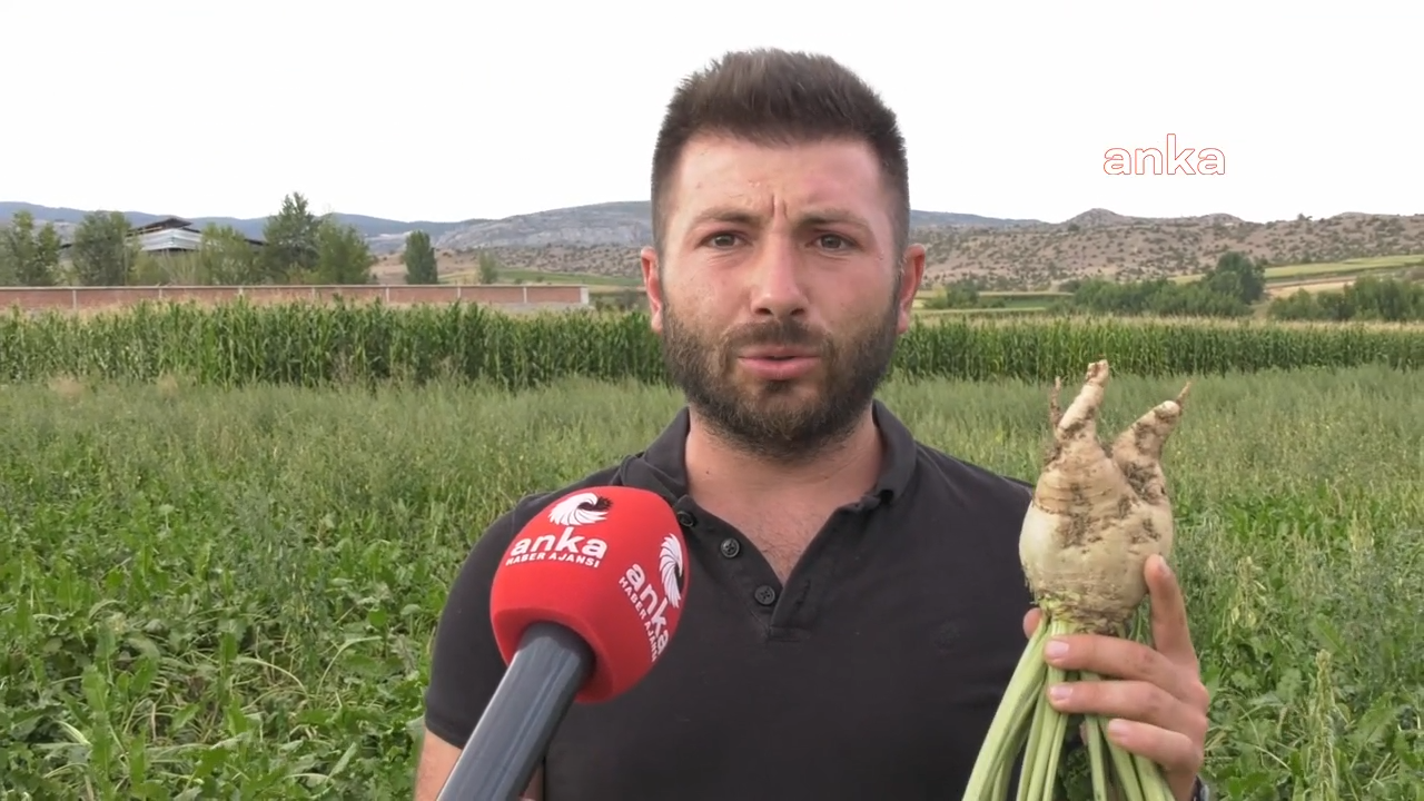 Kastamonulu çiftçiler de dertli: Böyle devam ederse çiftçi kalmayacak