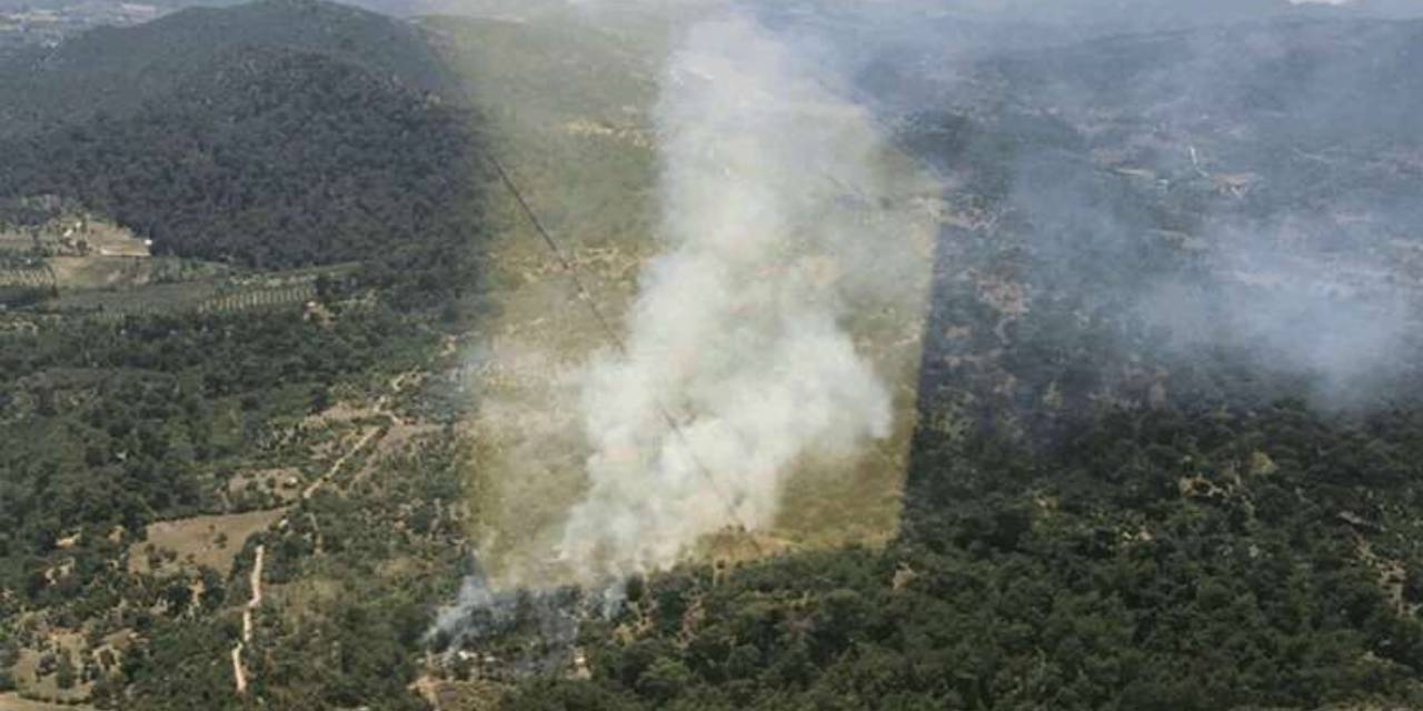 İzmir'in Bergama ilçesinde orman yangını