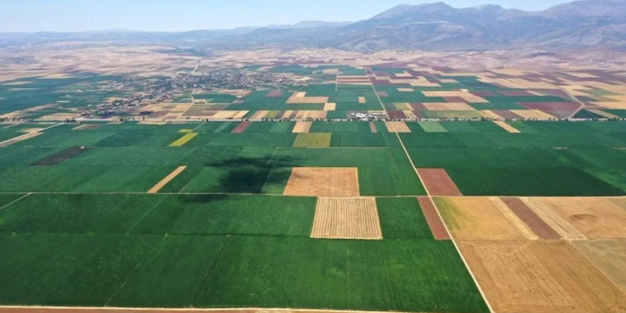 DEVA Partili Dalgın’dan soru önergesi: Ekim yapamayan çiftçinin derdi kiralık tarla bulamaması mı?